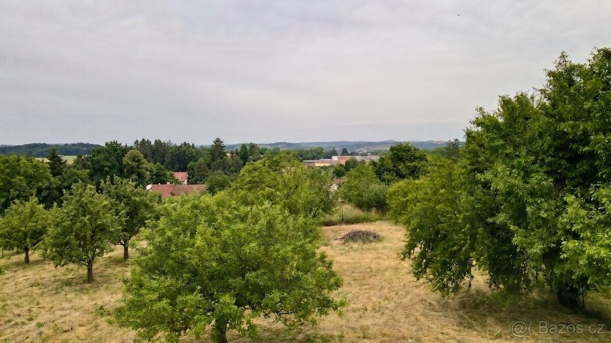 Zahrady, Černá Hora, 679 21