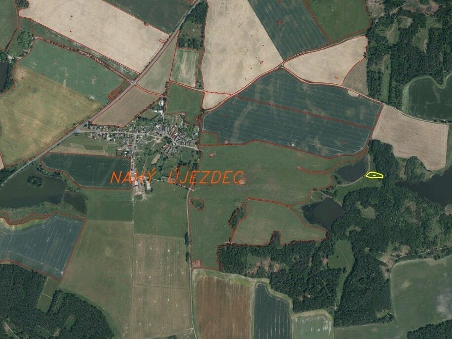 Louka · Lom u Tachova, okres Tachov, Plzeňský kraj - 3