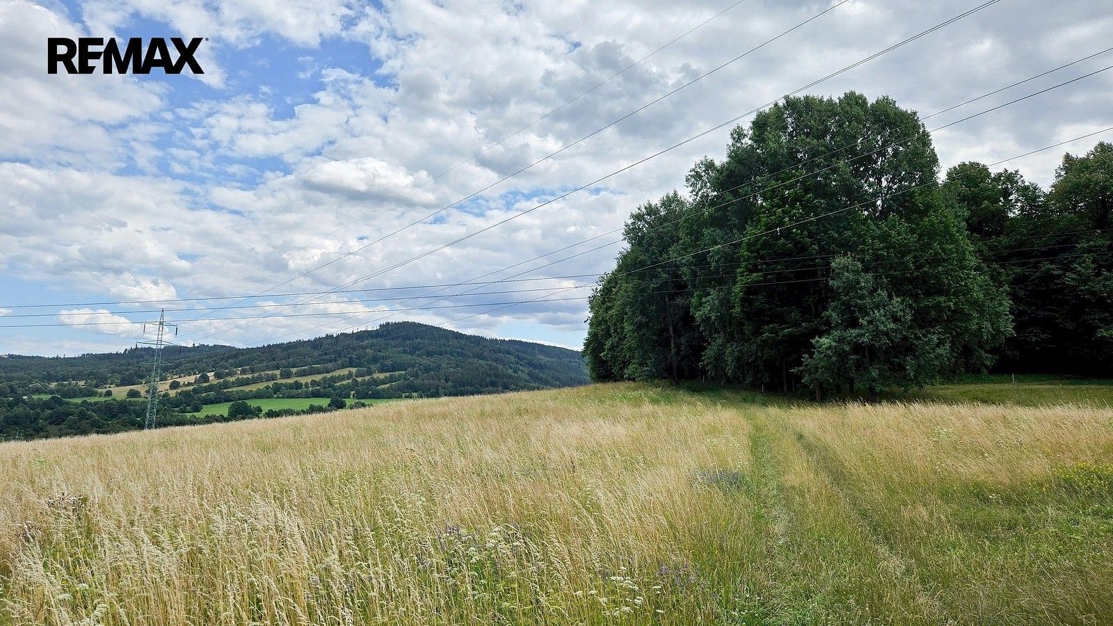 Les · Písečná, okres Jeseník, Olomoucký kraj - 3
