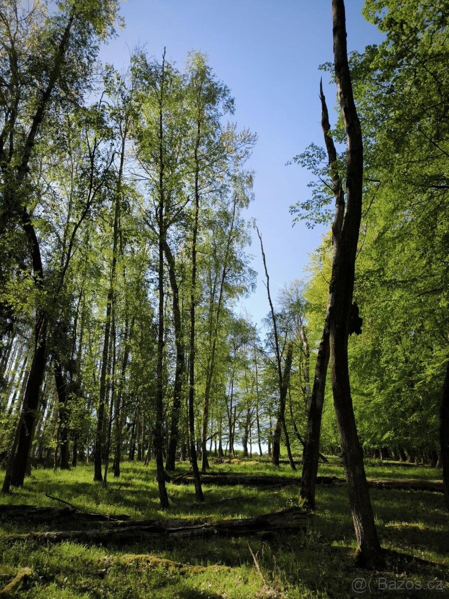 Pozemky pro bydlení, Řepín, 277 33 - 2