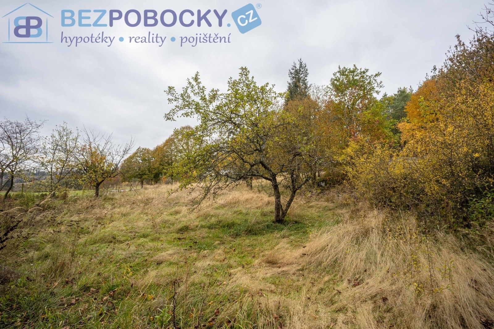 Prodej pozemek pro bydlení - Baliny, 1 962 m² - 5