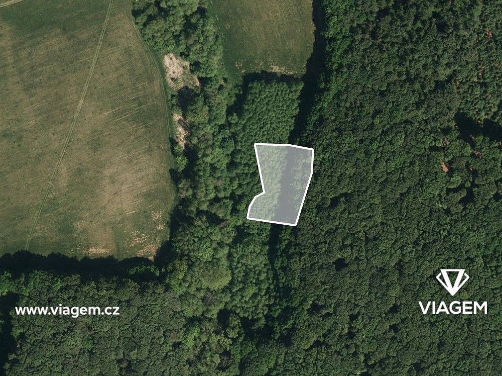 Les · Žlutava, okres Zlín, Zlínský kraj - 2