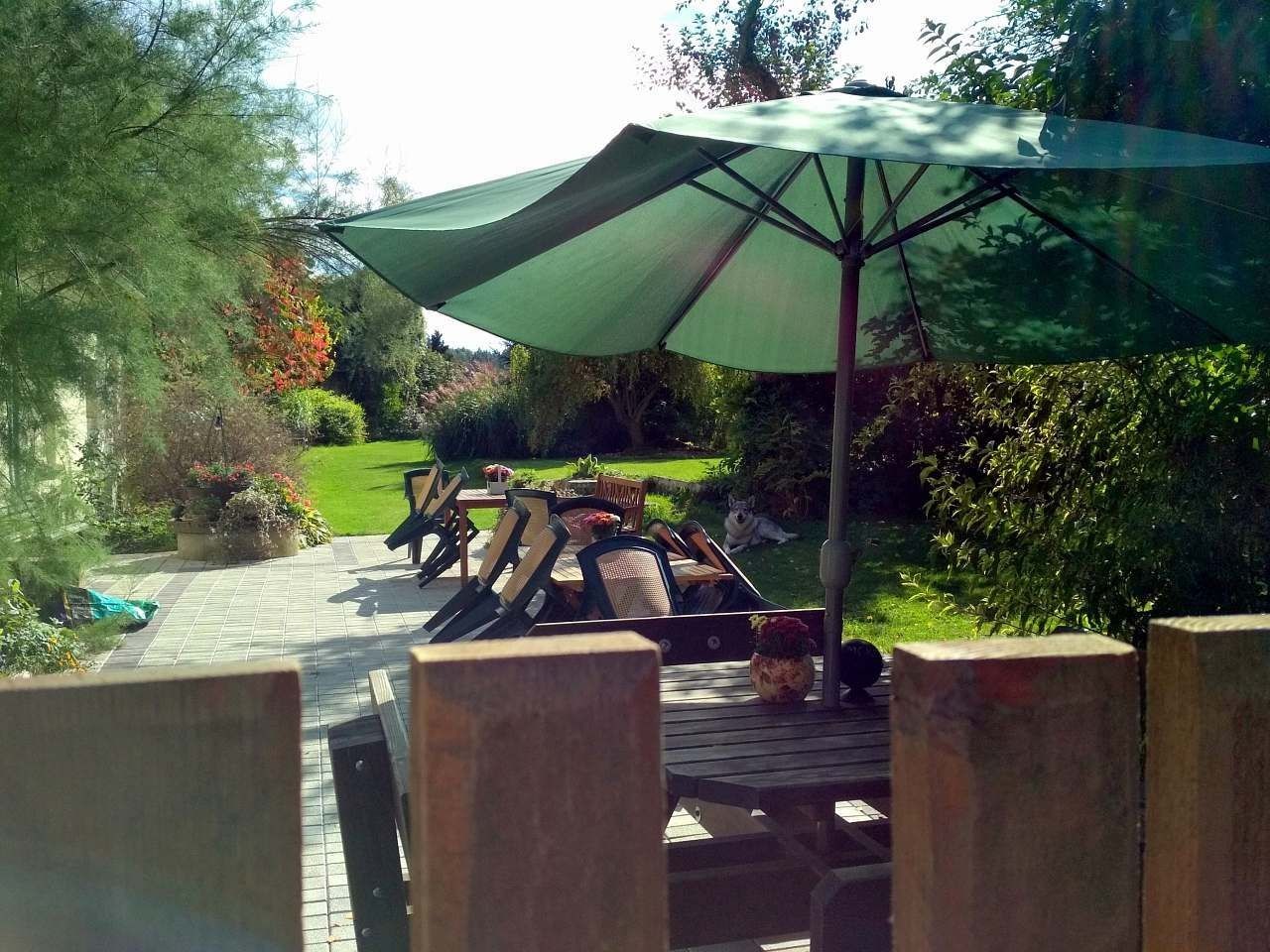 Chata · Široký Důl, Pardubický kraj - 3
