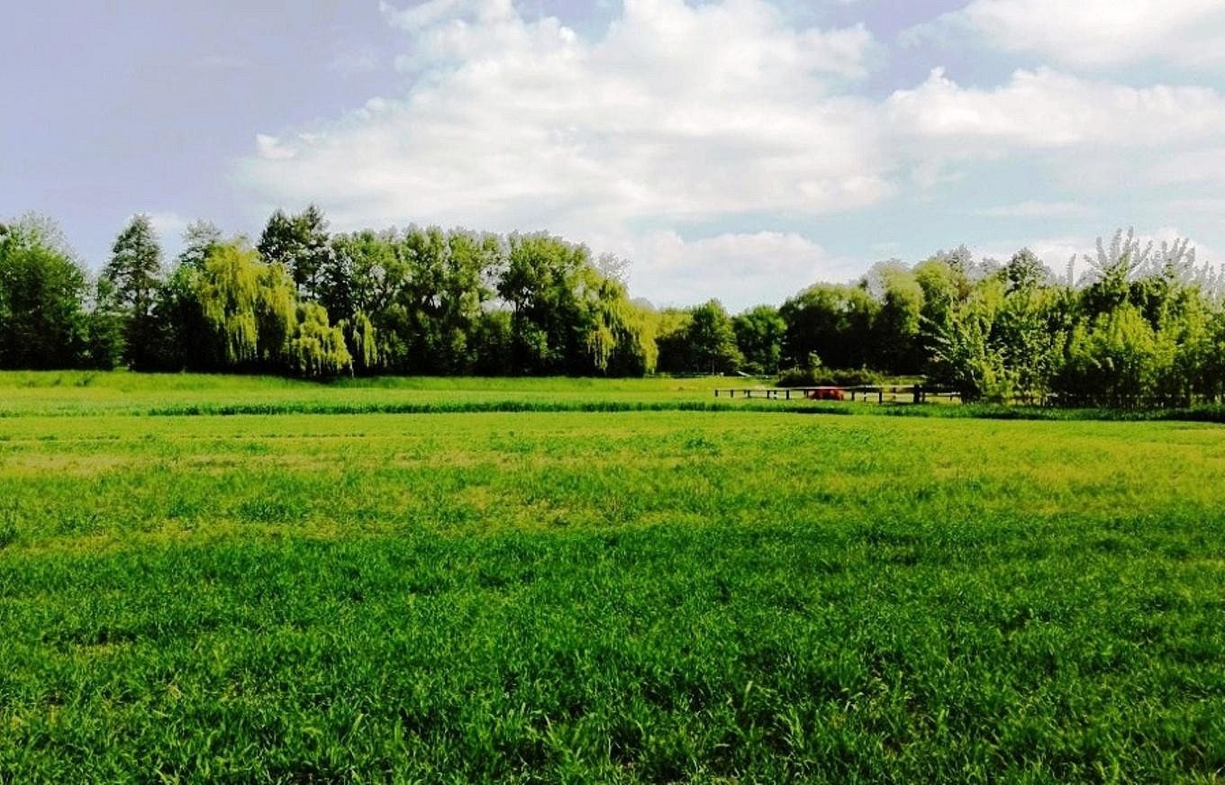 Sklad · 6 000 m² · Jižní, Mohelnice, okres Šumperk - 4