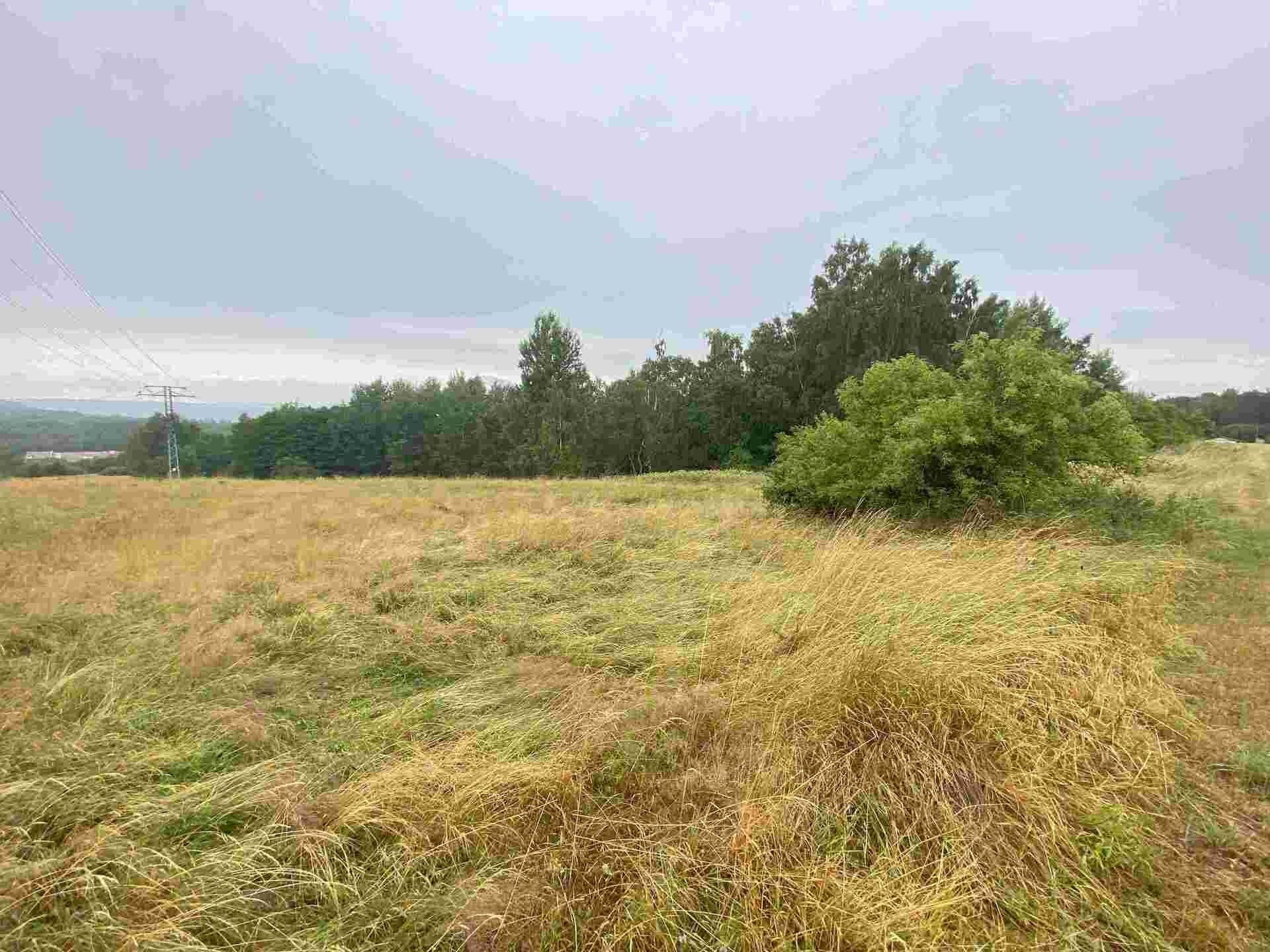 Prodej zemědělský pozemek - Loučky, Nové Sedlo, 49 m²