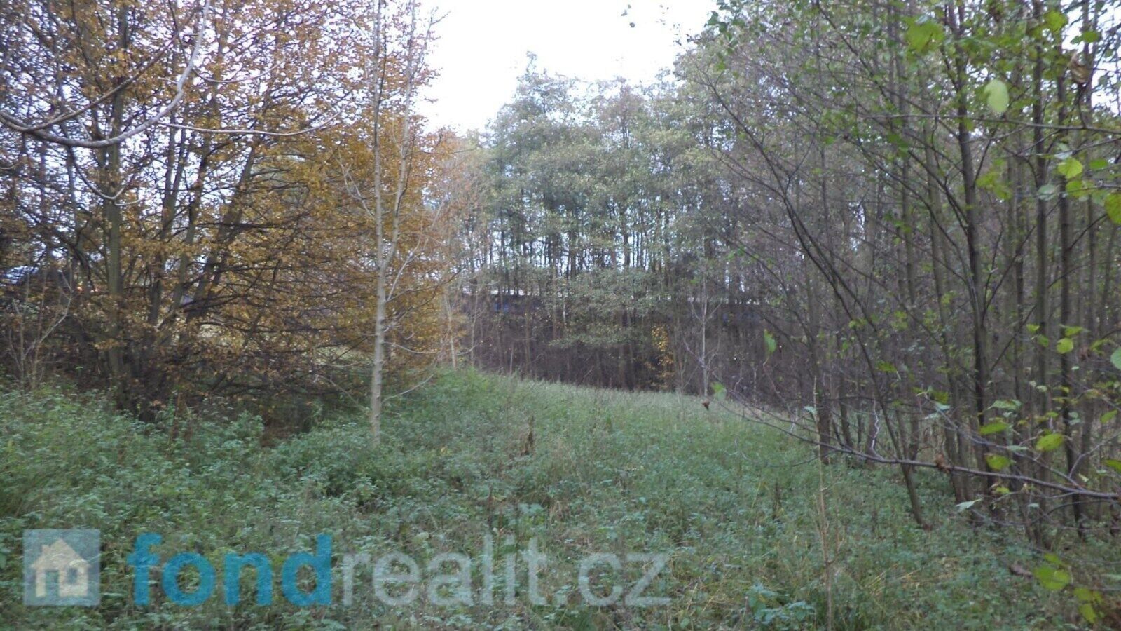 Ostatní, Český Těšín, 3 946 m²