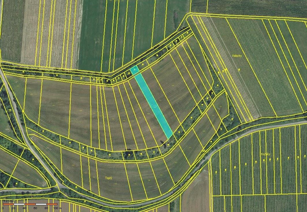 Prodej zemědělský pozemek - Ořechov