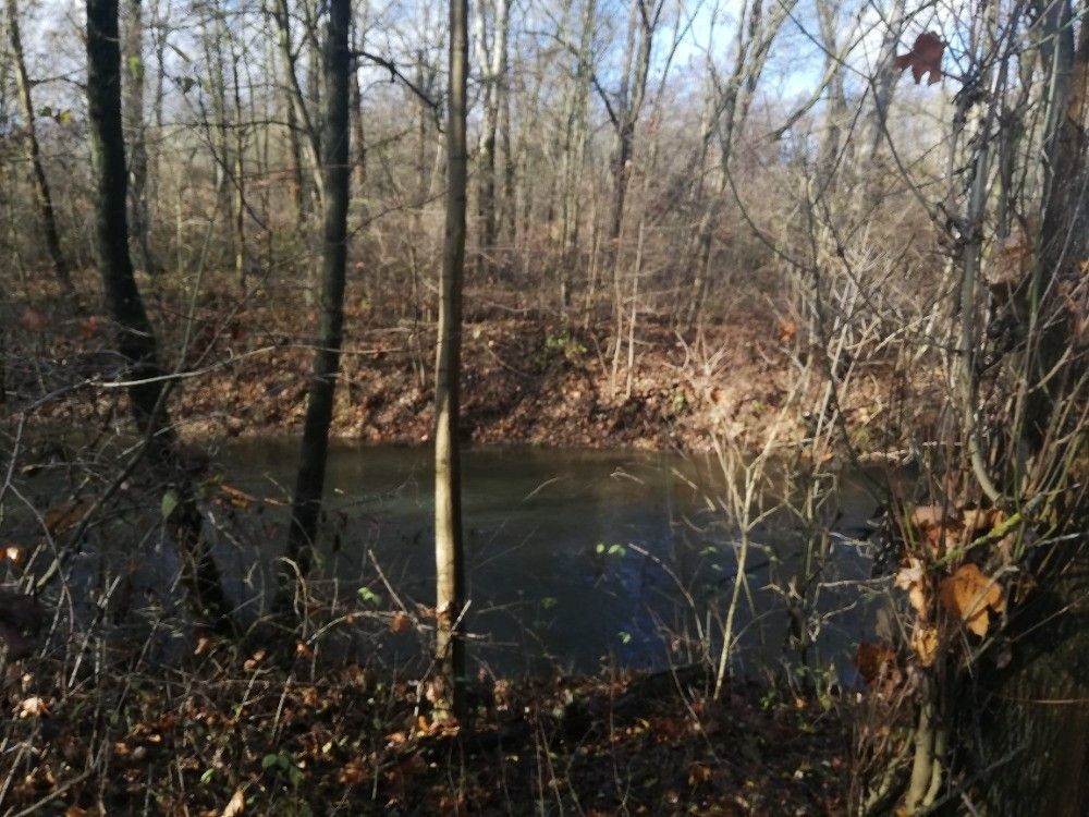 Prodej zahrada - Olomouc, 779 00