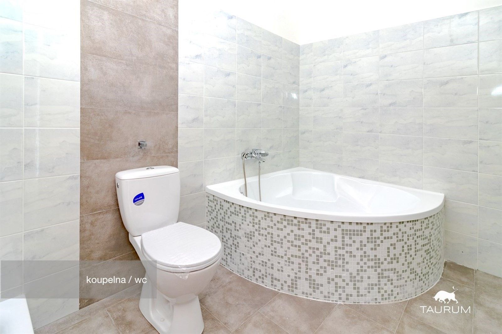 2+1, Rozvojová zóna, Janovice nad Úhlavou, 74 m²