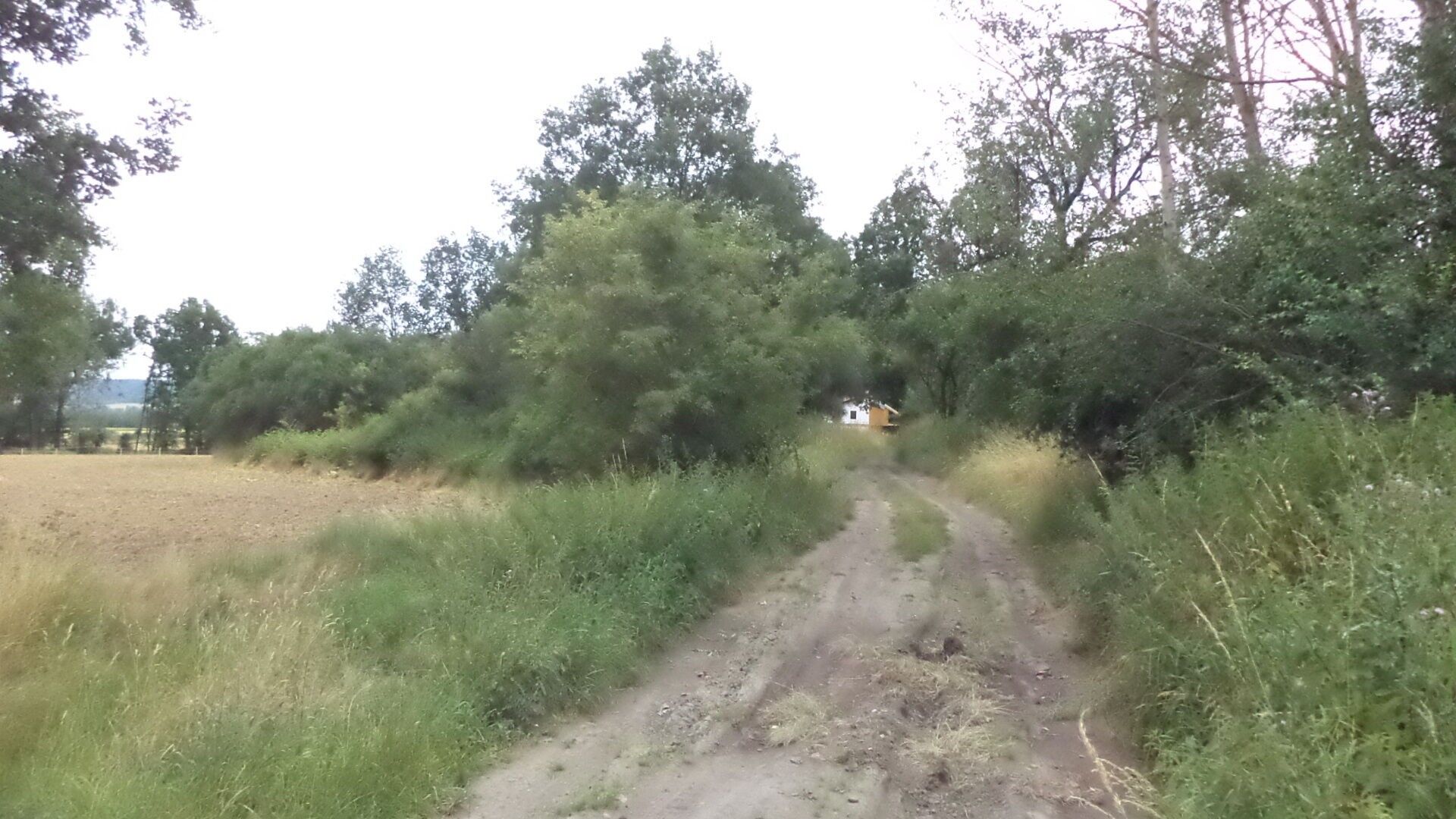 Zahrady, Heřmanova Huť Vlkýš, 1 100 m² - 2