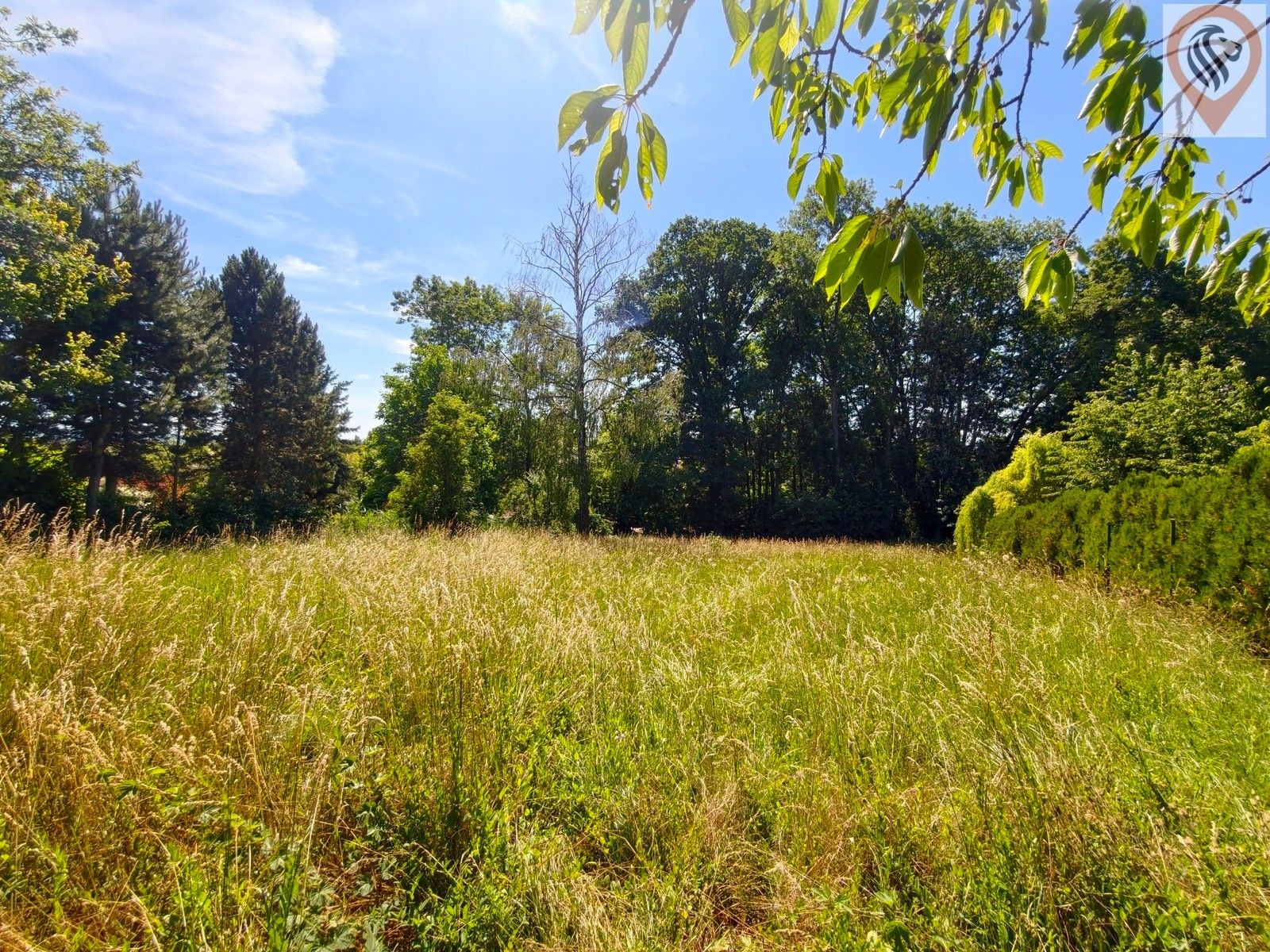 Pozemek pro bydlení · 2 410 m² · Barchov - 3