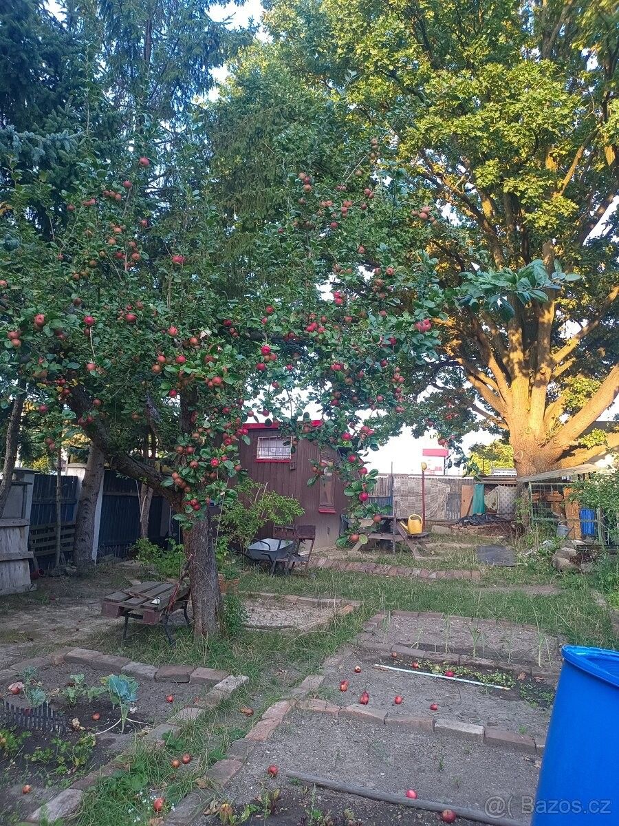 Pronájem zahrada - Plzeň, 312 00