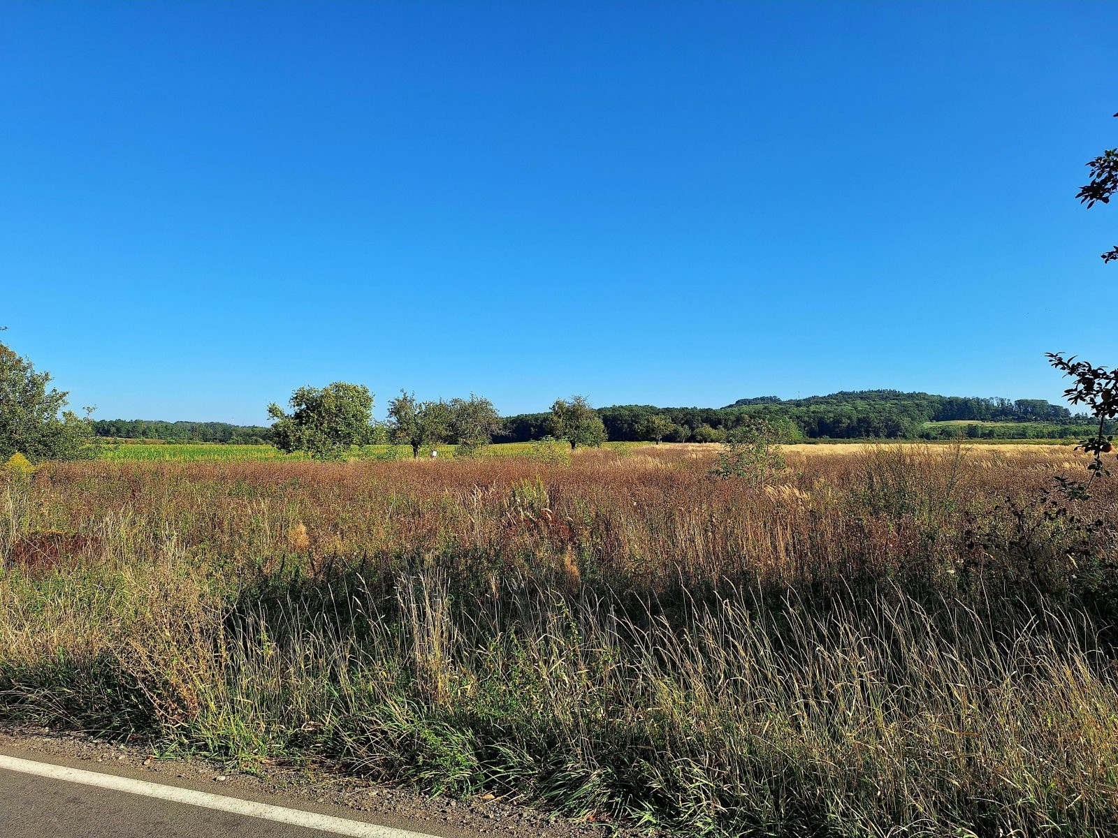 Zemědělský pozemek, 140 145 m²