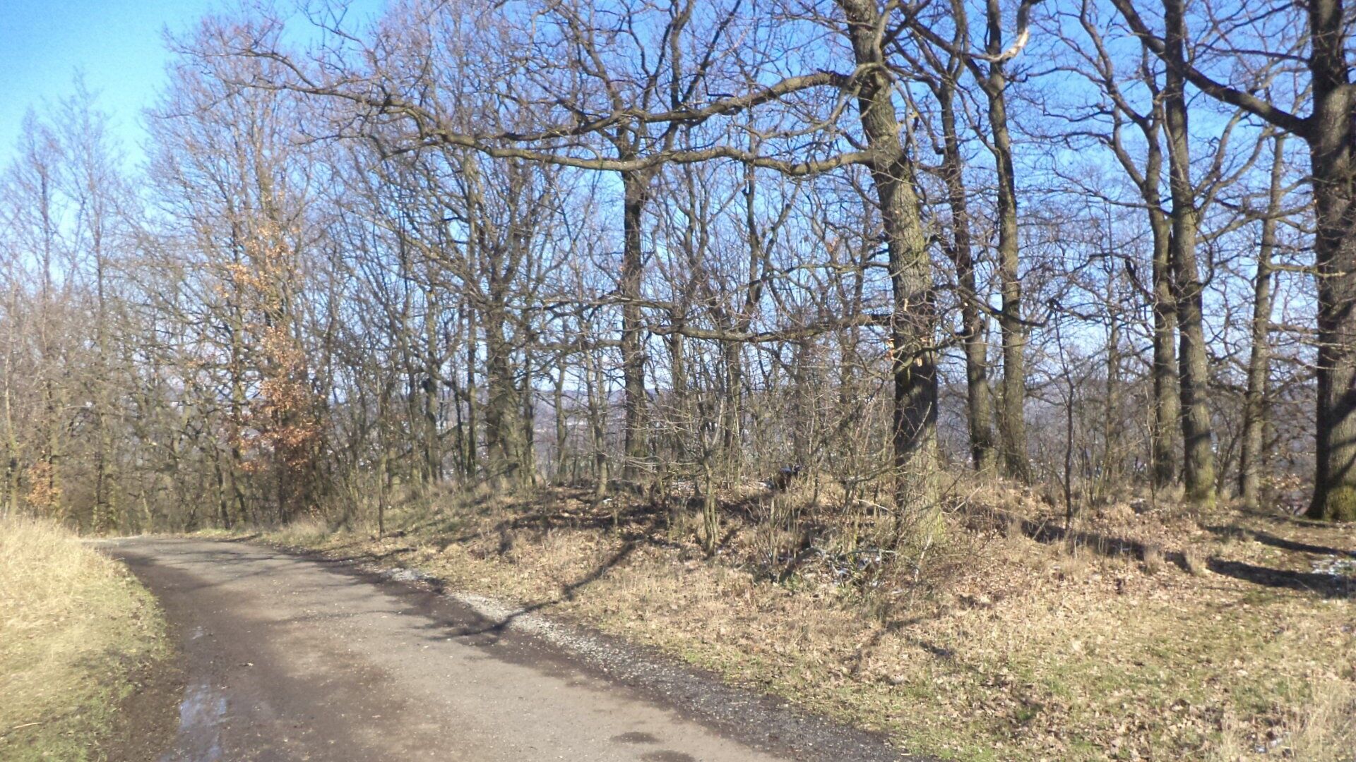 Ostatní, Ústí nad Labem, 7 064 m² - 1