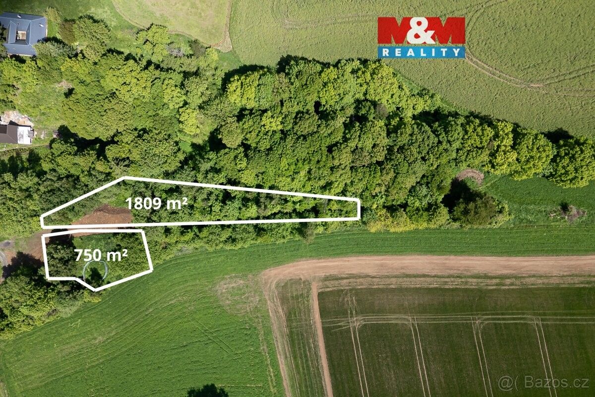 Pozemky pro bydlení, Třebařov, 569 33