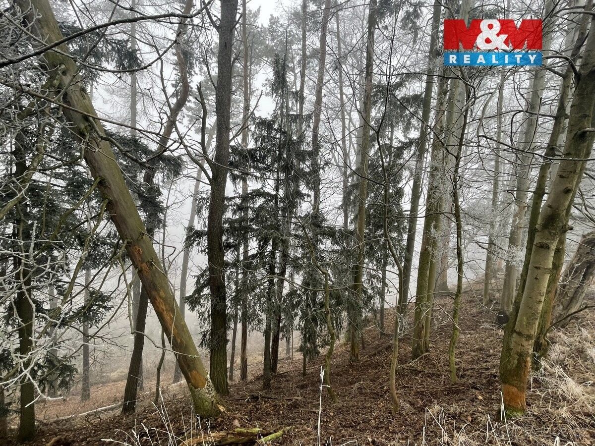 Prodej pozemek pro bydlení - Nová Paka, 509 01