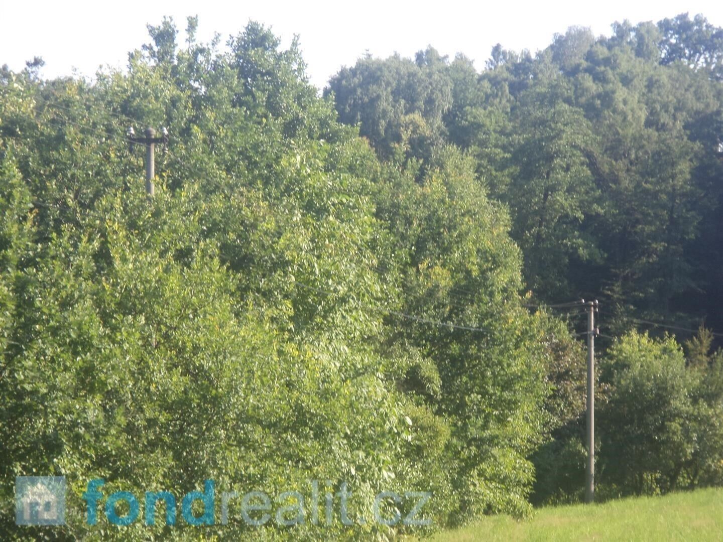 Pozemek · 2 629 m² · Dětmarovice - 3