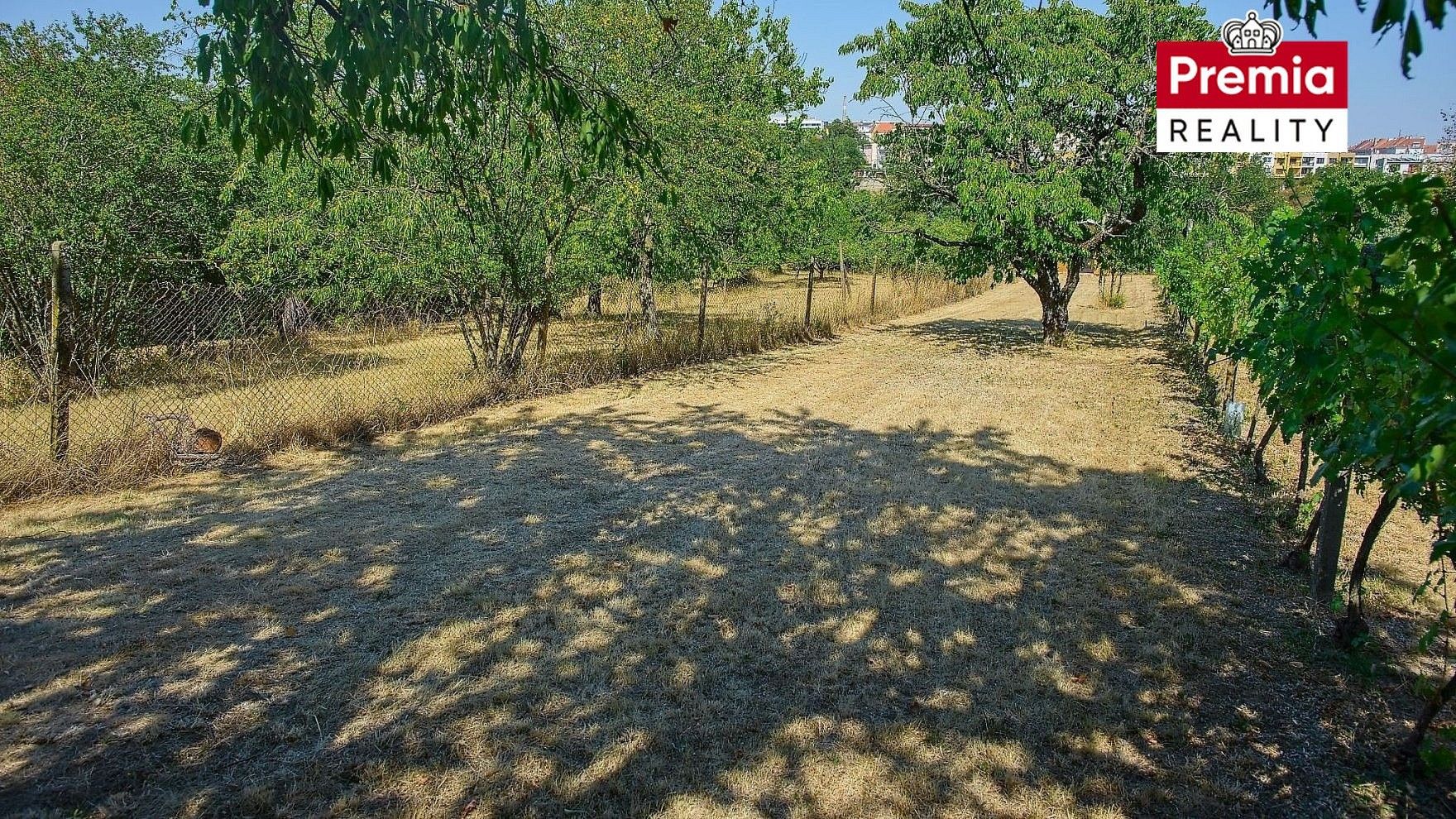 Zahrada · Nový Šaldorf-Sedlešovice, okres Znojmo, Jihomoravský kraj - 3