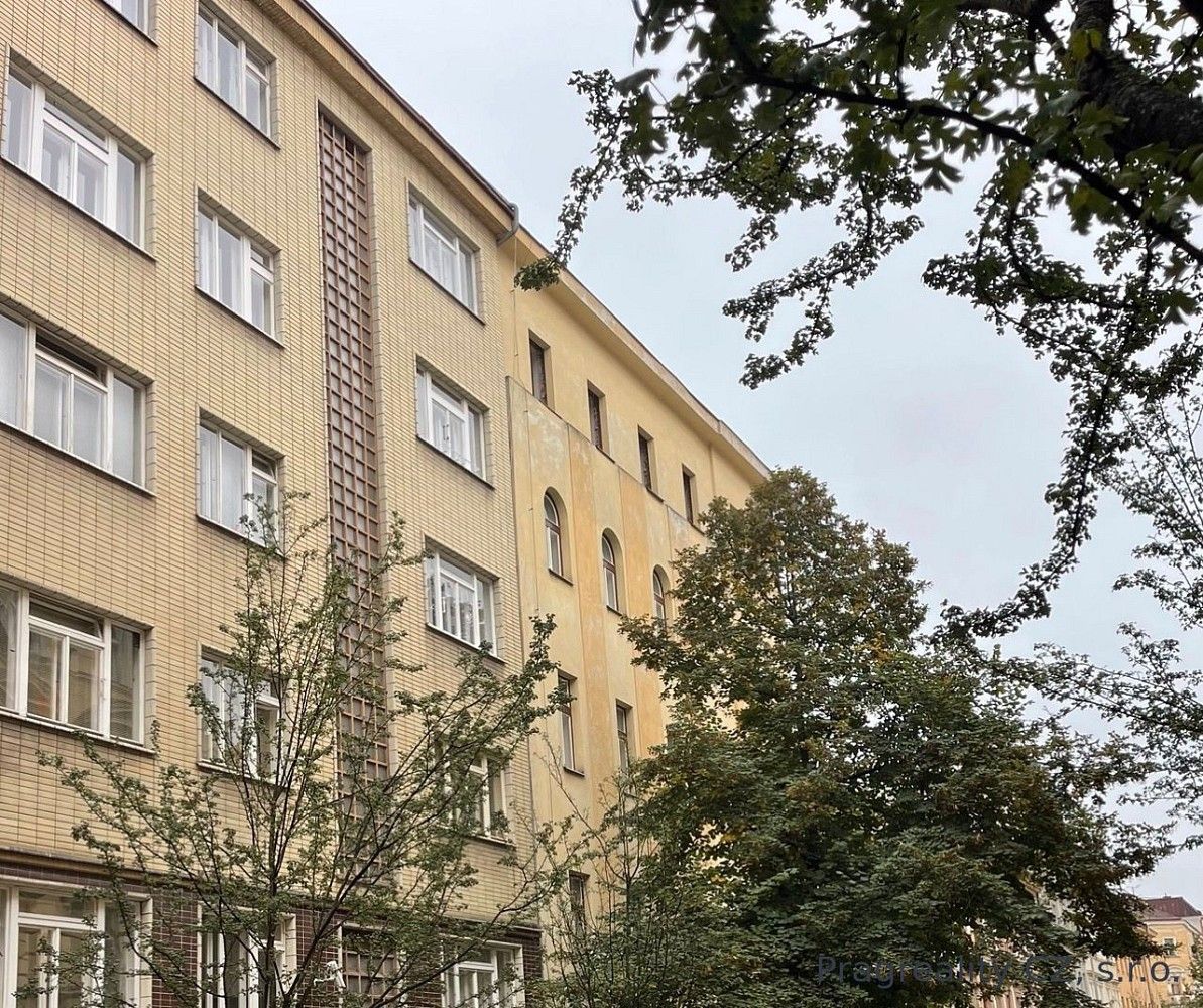 Byt 1+kk, 30 m²