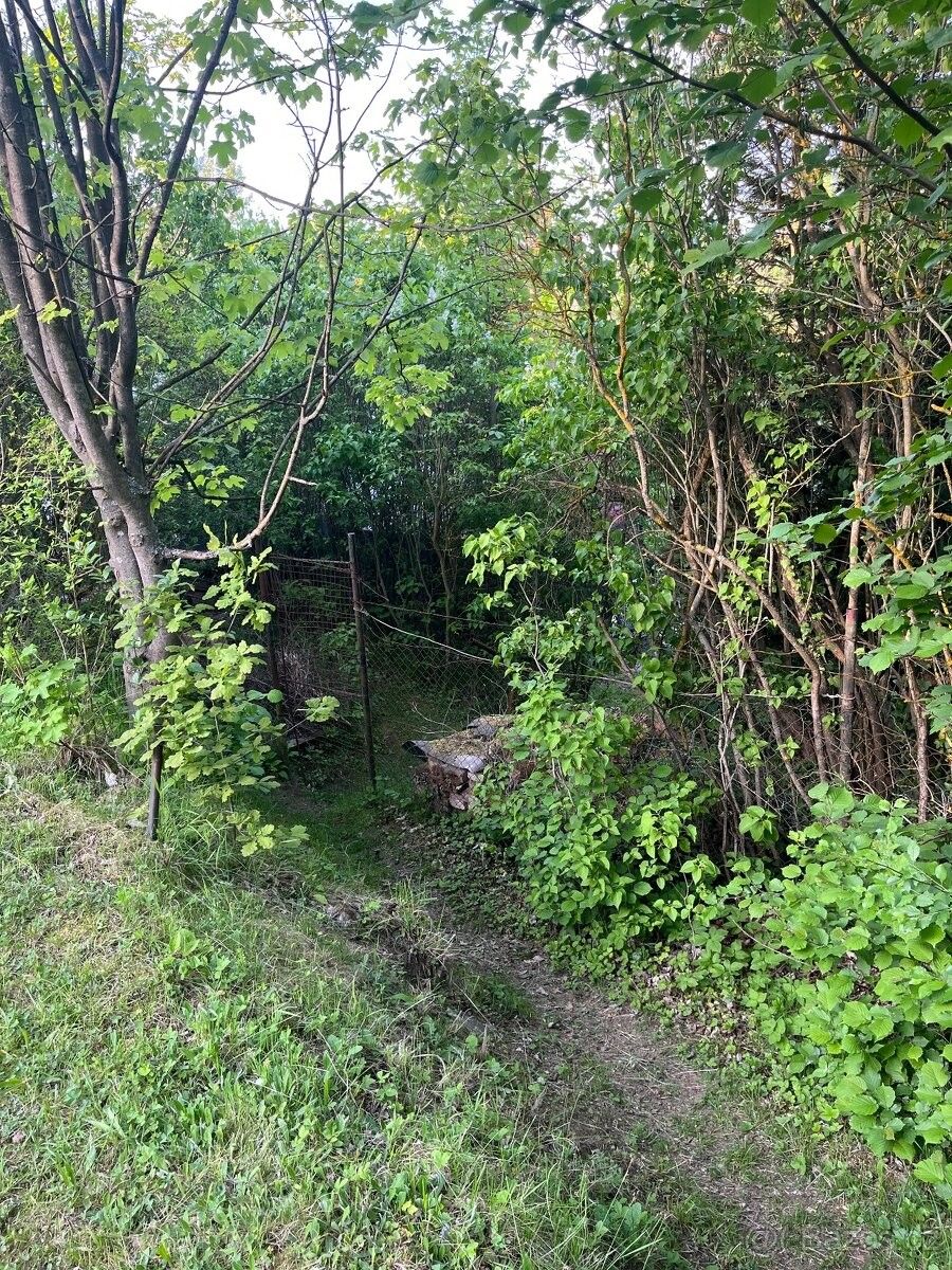 Prodej chata - Jihlava, 586 01 - 5