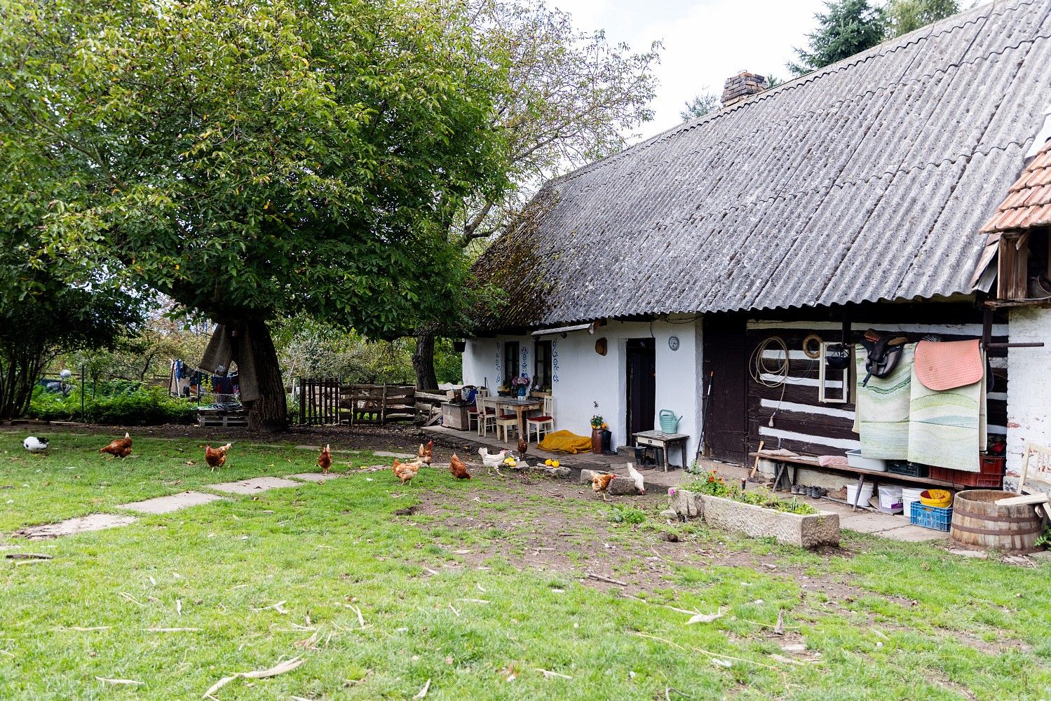 Rodinné domy, Litíč, okres Trutnov, 60 m² - 2