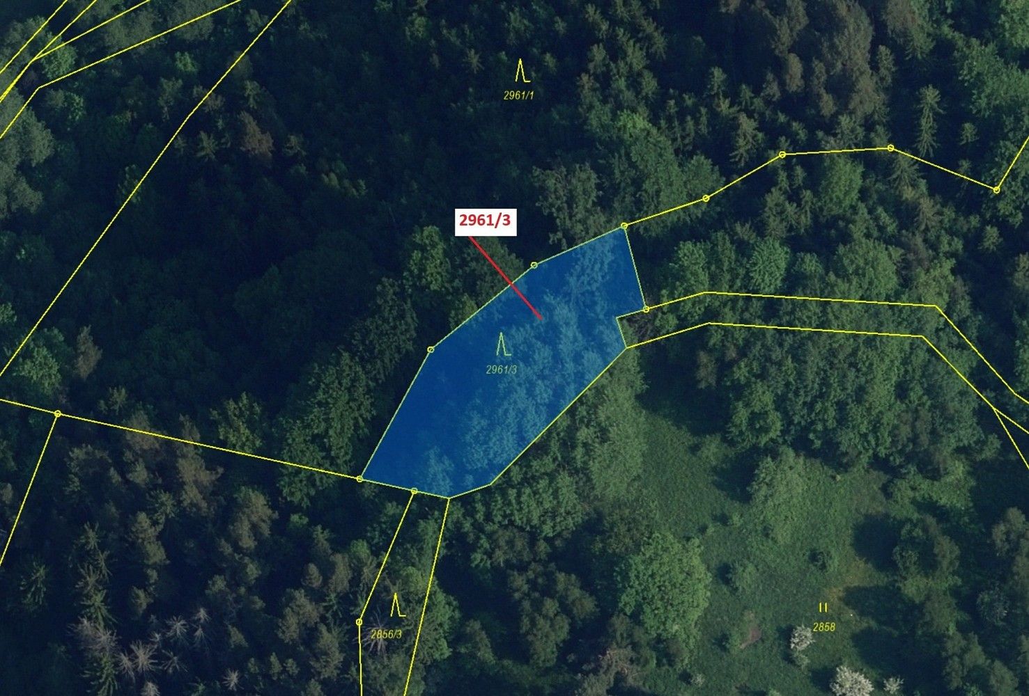 Prodej les - Český Dub, okres Liberec, Liberecký kraj - 2