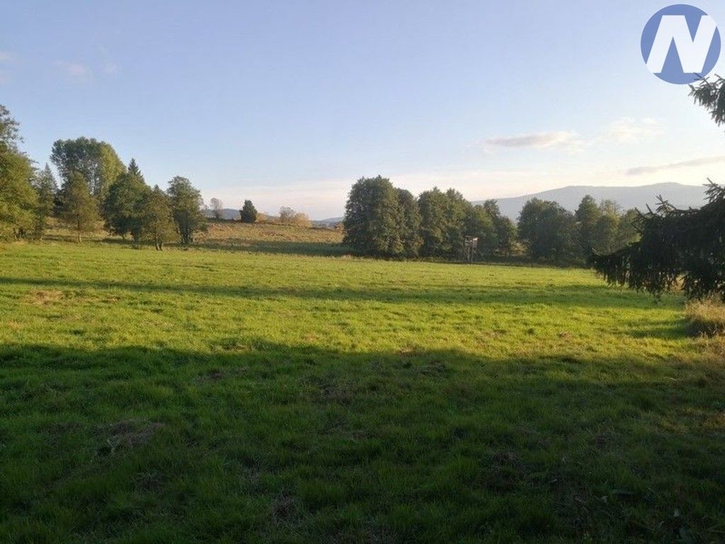Prodej pozemek - Želnava, 14 303 m² - 5