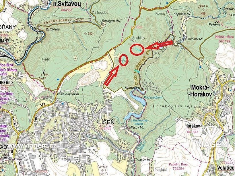 Les · Brno, okres Brno-město, Jihomoravský kraj - 3
