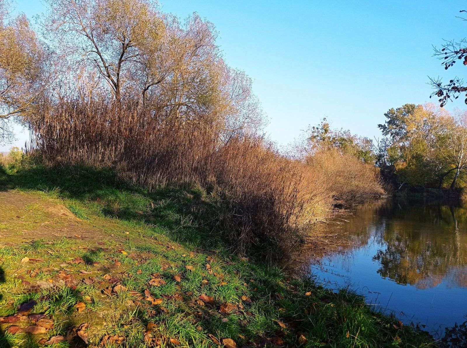 Louka · 5 838 m² · Bulhary - 4