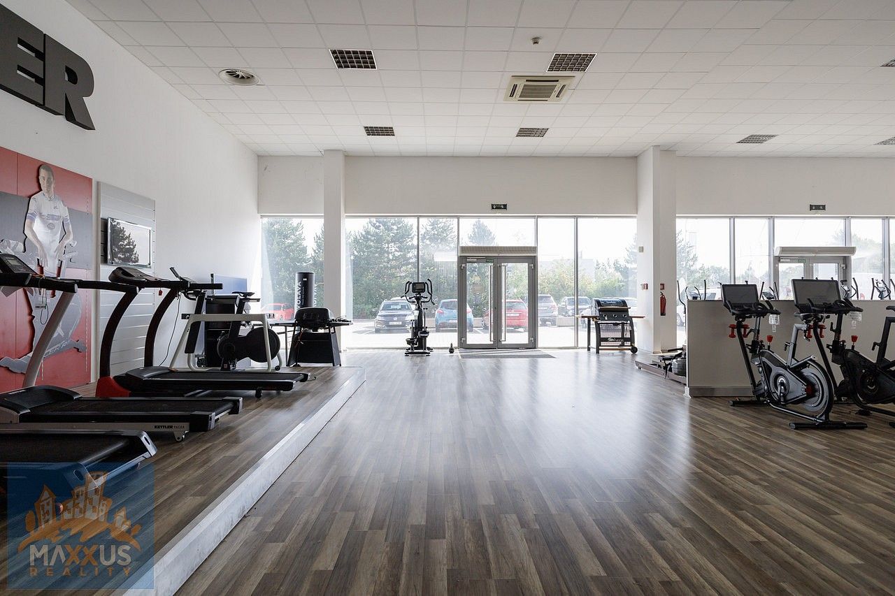 Obchodní prostory, Čestlice, okres Praha-východ, Středočeský kraj, 490 m² - 2