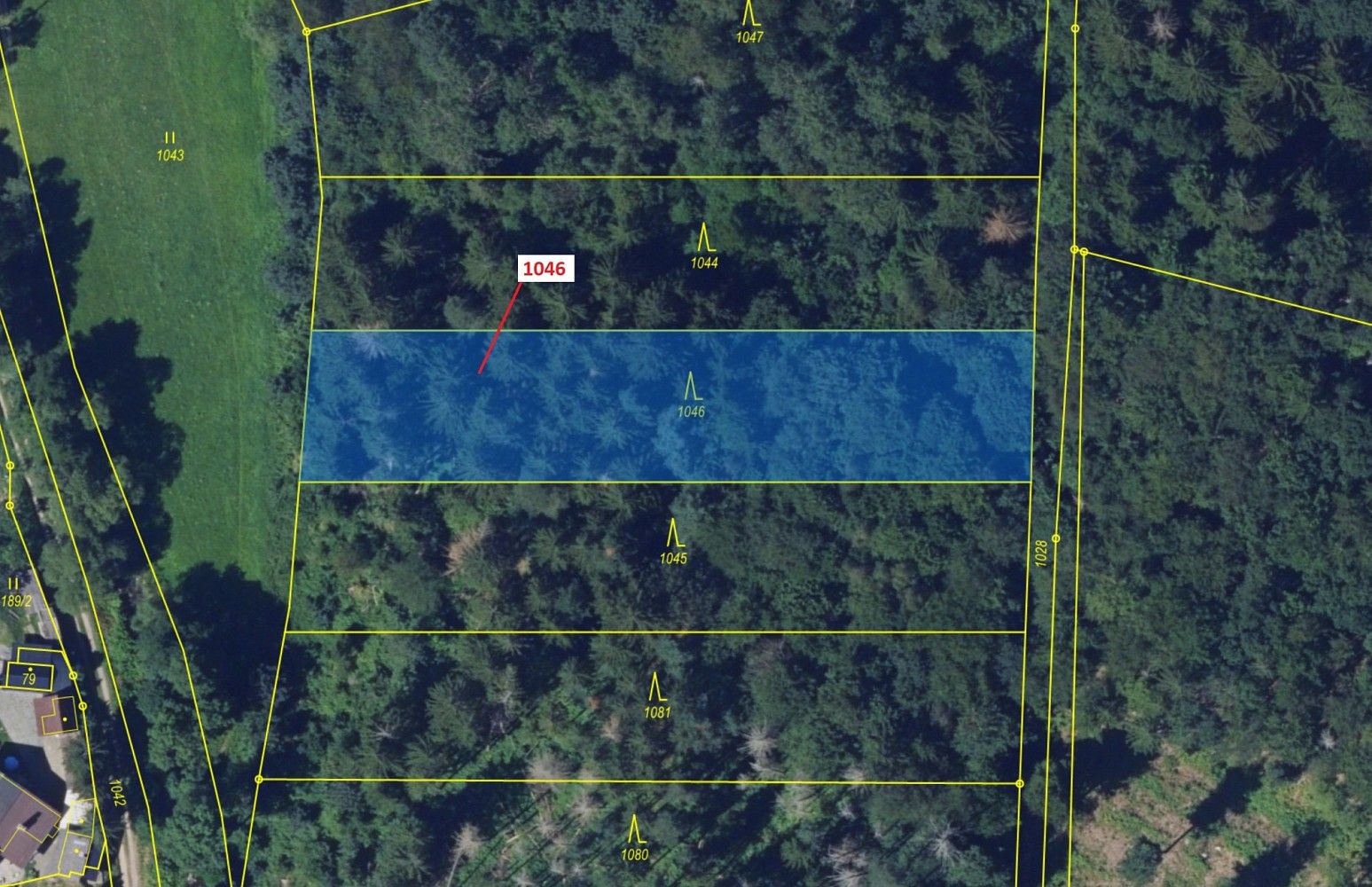Les · Vír, okres Žďár nad Sázavou, Kraj Vysočina - 2