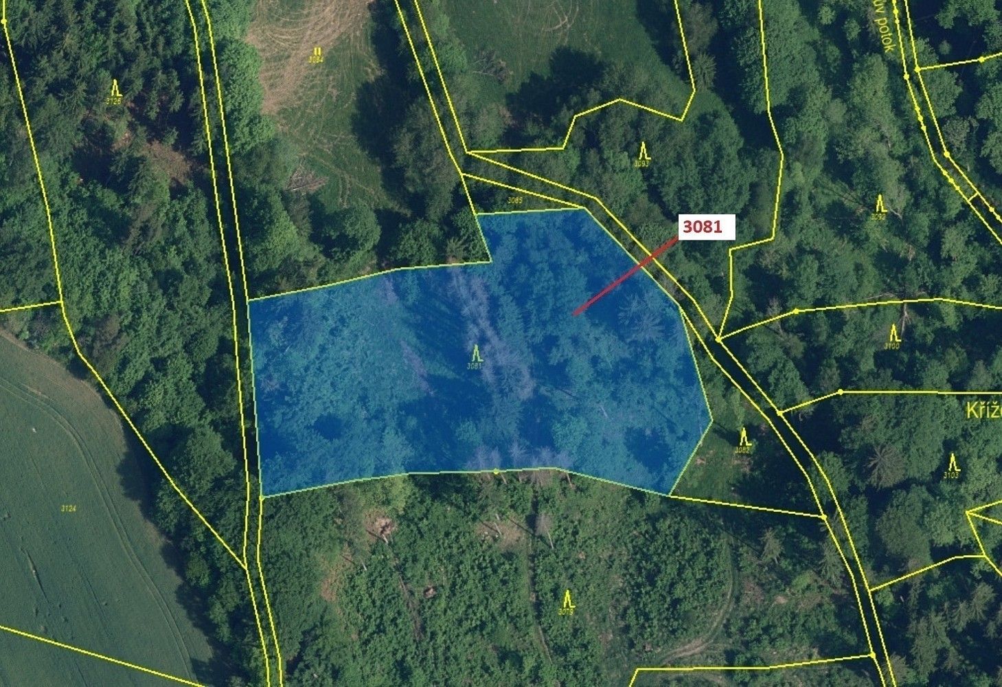 Prodej les - Benešov u Semil, okres Semily, Liberecký kraj - 2