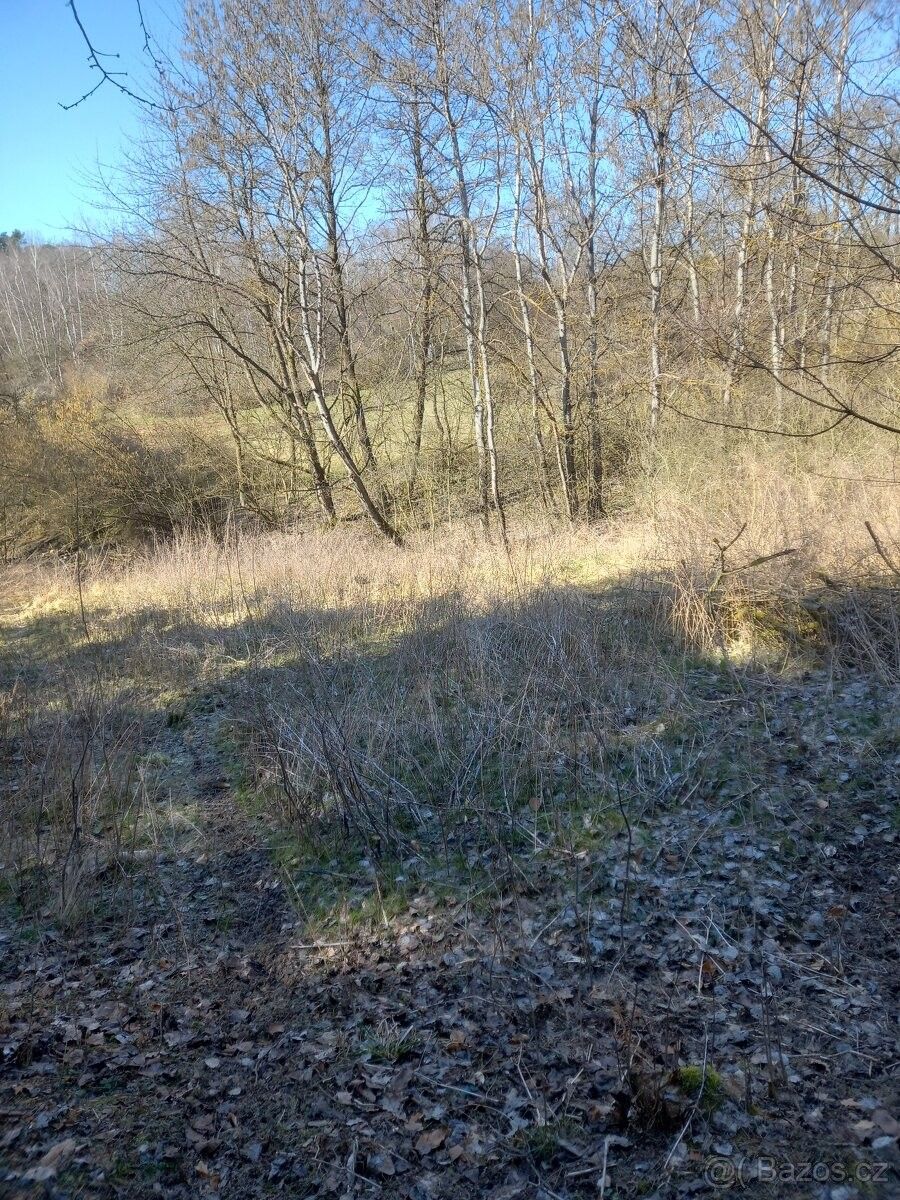 Prodej pozemek pro bydlení - Klokočná, 251 64