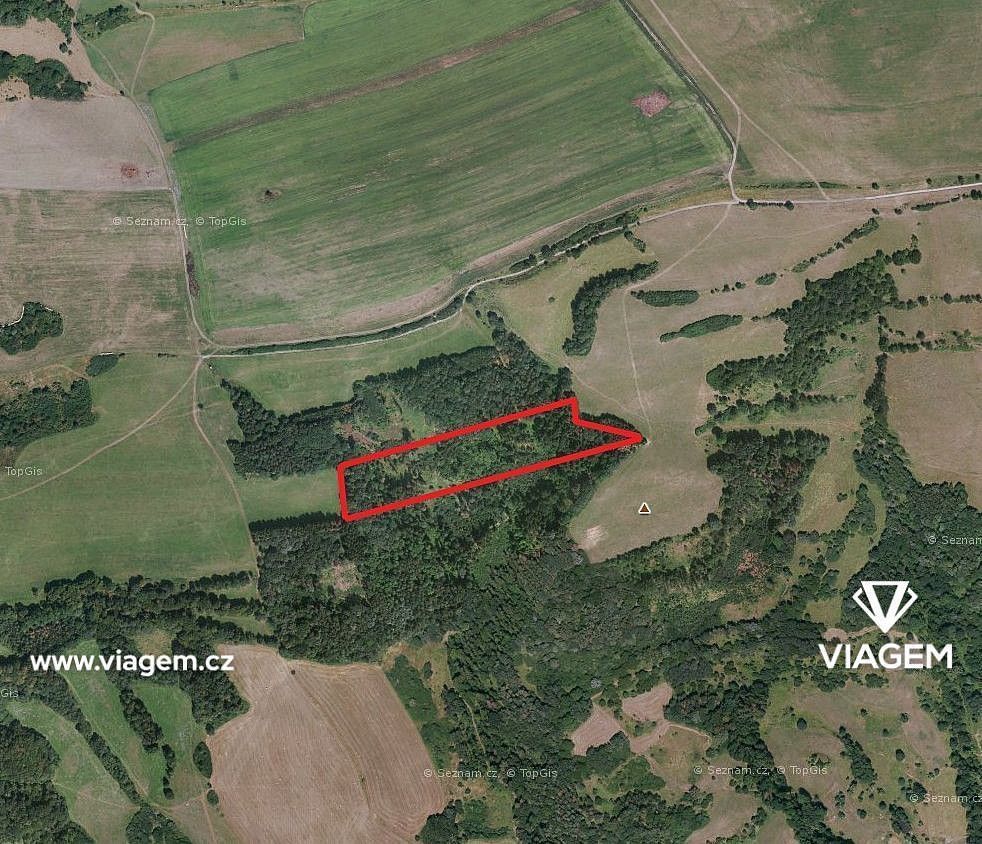 Prodej les - Velká Bukovina, okres Děčín, Ústecký kraj - 1