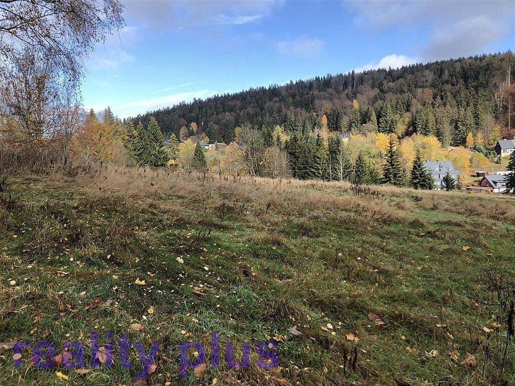 Prodej louka - Bedřichov, okres Jablonec nad Nisou, Liberecký kraj - 5