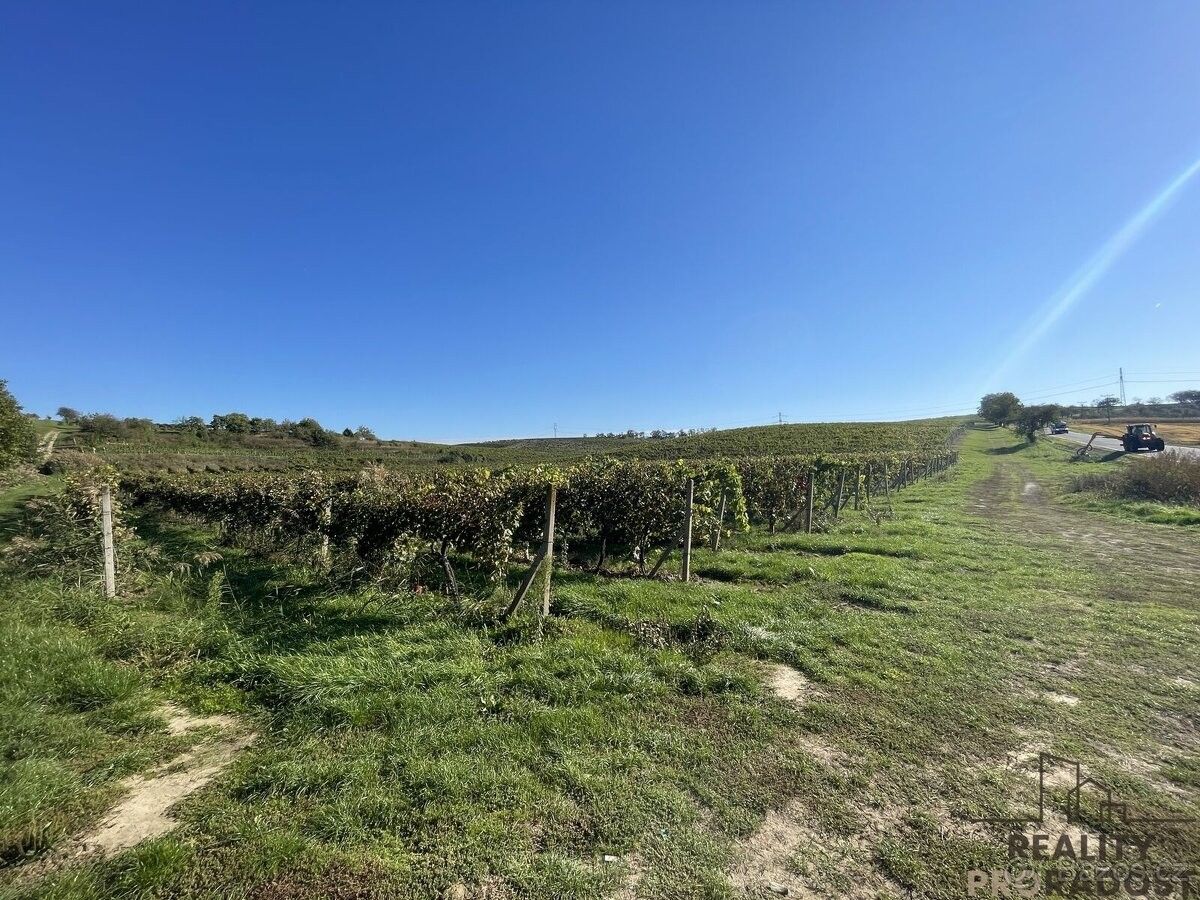 Pozemky pro bydlení, Čejkovice, 696 15