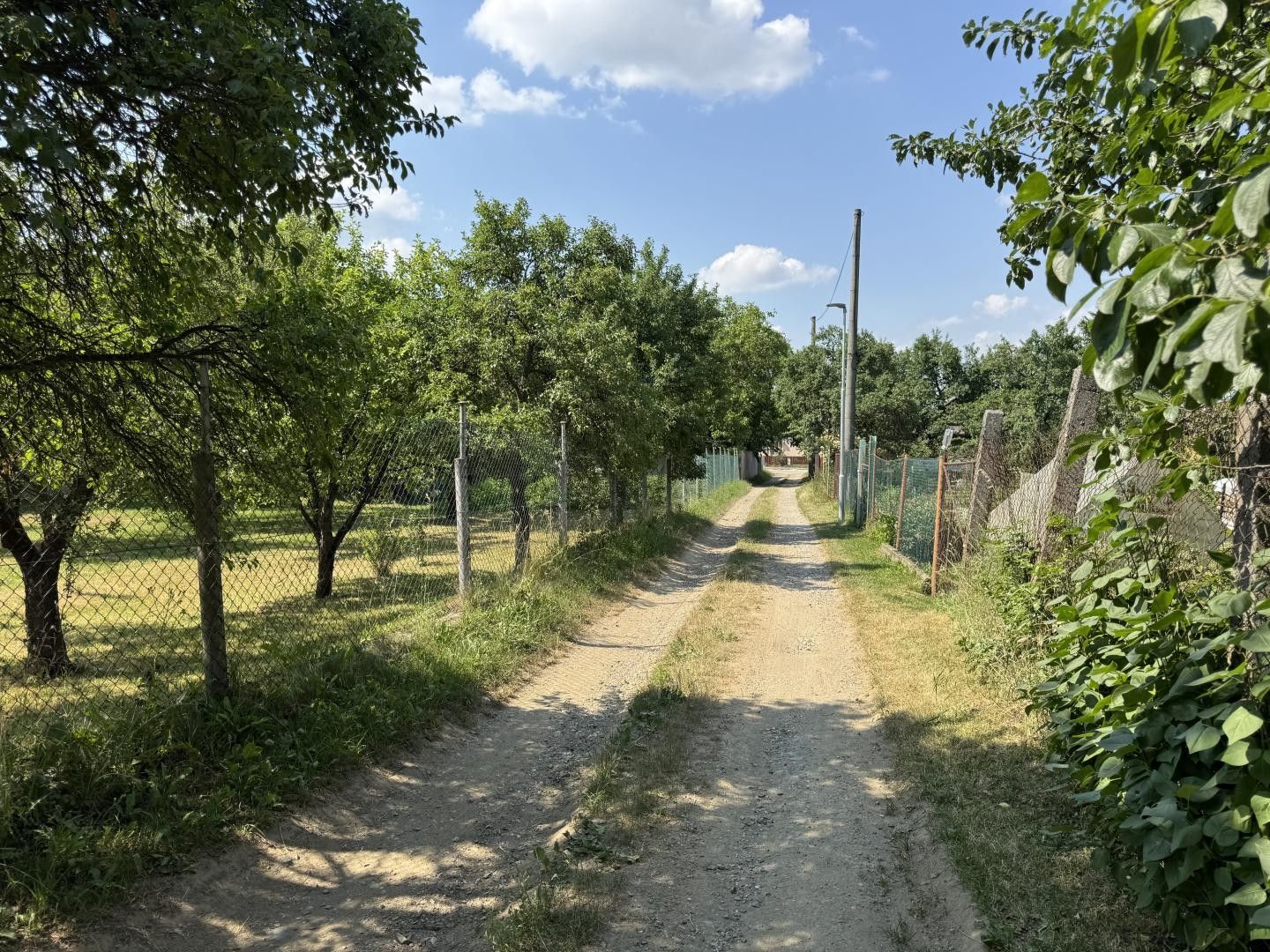Prodej pozemek pro bydlení - Rájec - 5