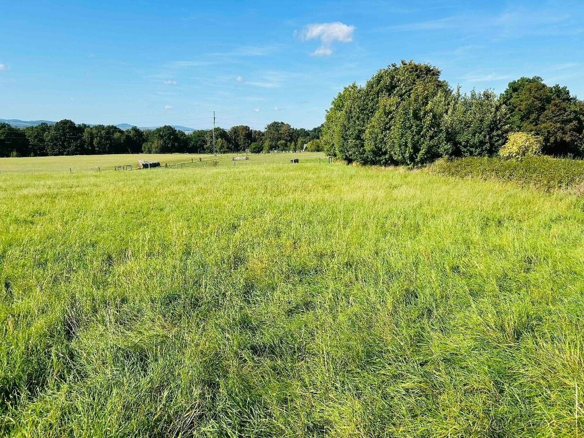 Prodej pozemek pro bydlení - Hrádek nad Nisou, 463 34 - 2