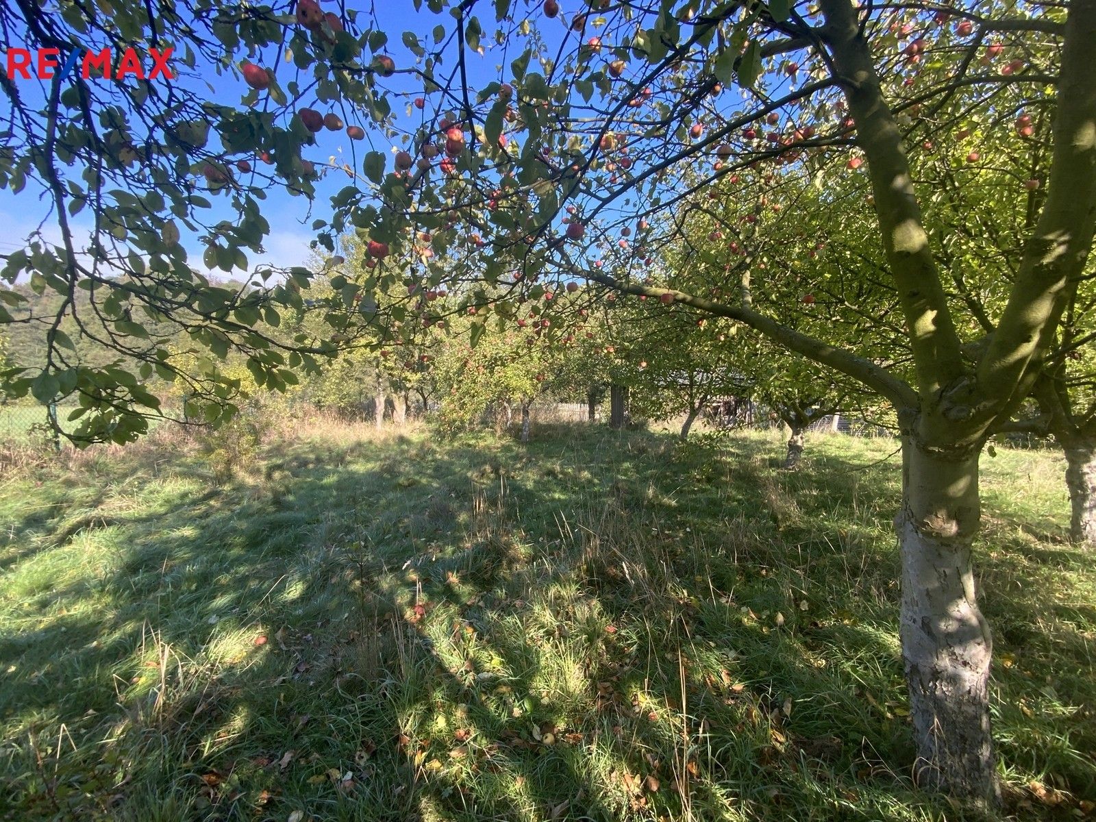 Zahrady, Stráž nad Ohří, 702 m²