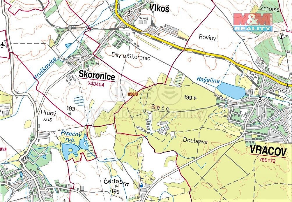 Les · Skoronice, okres Hodonín, Jihomoravský kraj - 4