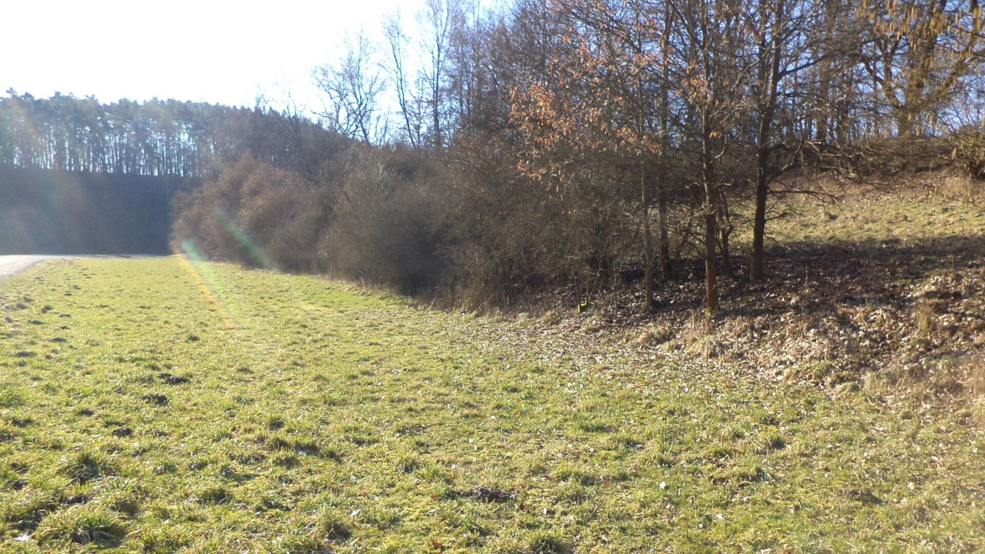 Zemědělský pozemek, 5 161 m²