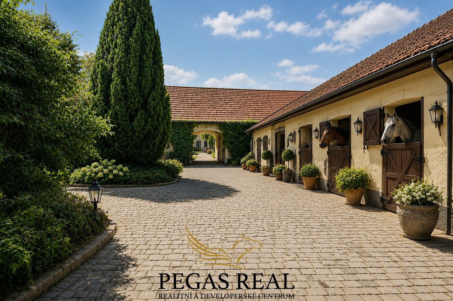 Prodej rodinný dům - Železné, okres Brno-venkov, 1 006 m² - 5
