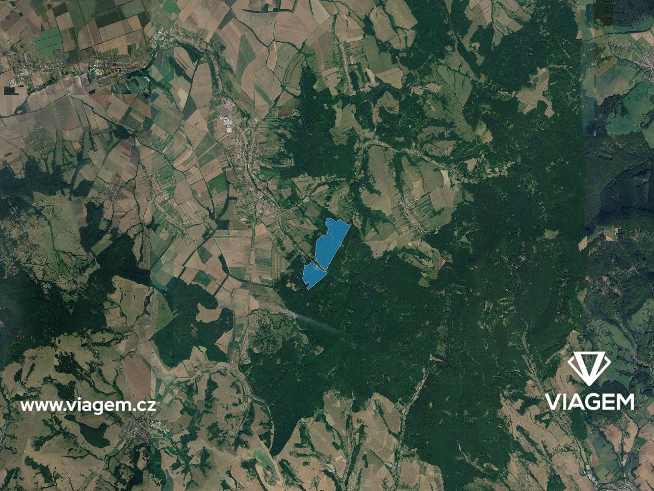 Les · Javorník, okres Hodonín, Jihomoravský kraj - 3