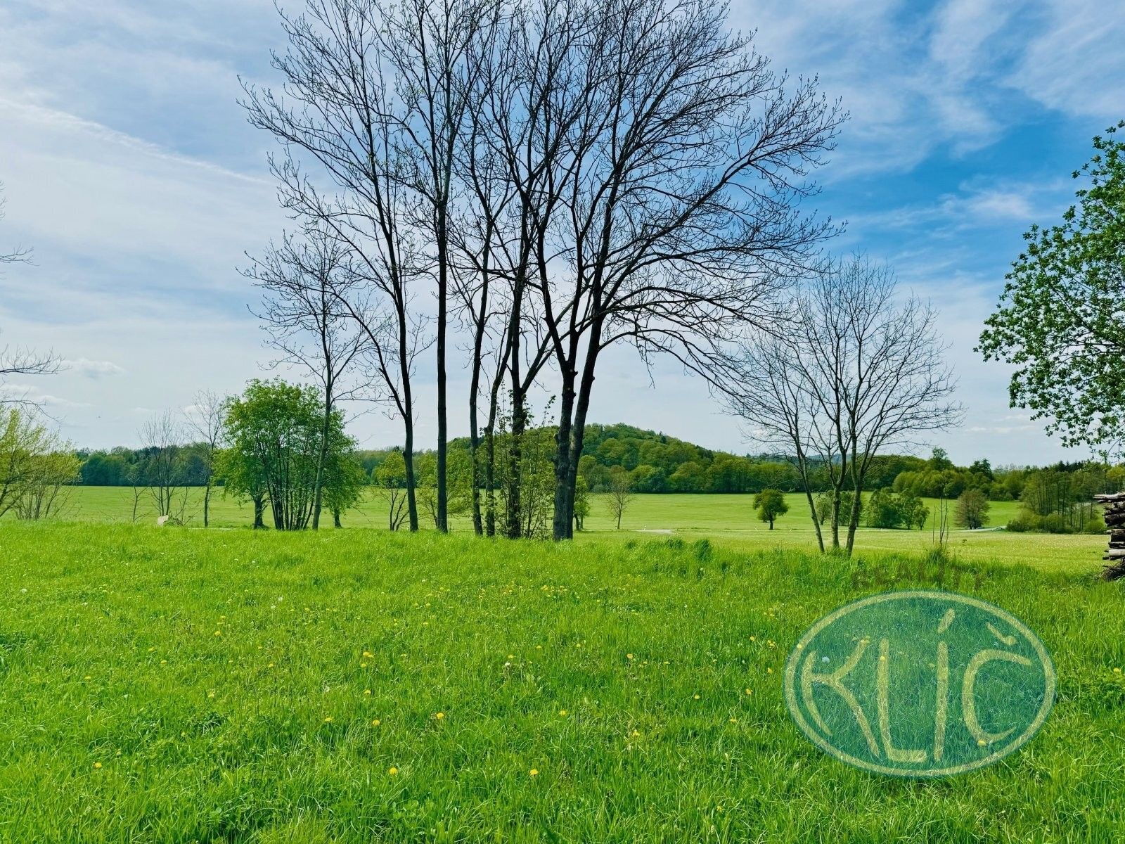 Pozemek pro bydlení · 1 913 m² · Borotín Libenice - 3
