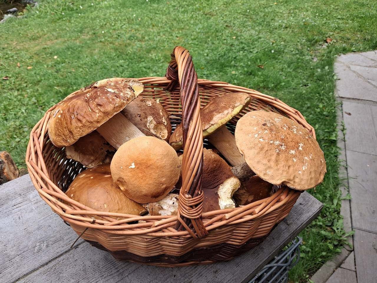Chaty, Holčovice - Spálené, Moravskoslezský kraj - 2
