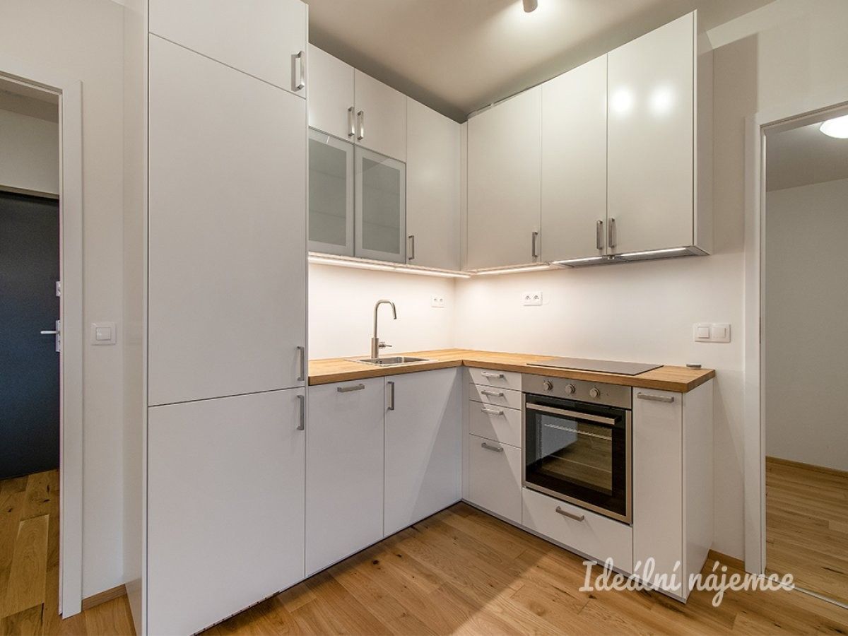 Pronájem byt 2+kk - Holečkova, Praha, 60 m²
