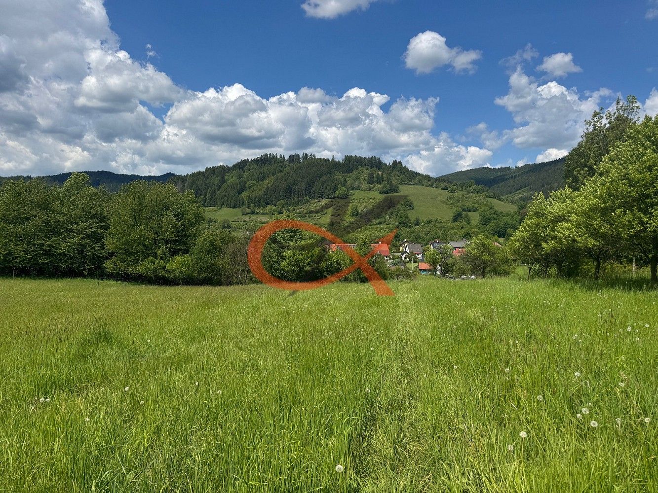 Prodej louka - Nový Hrozenkov, okres Vsetín, Zlínský kraj - 5