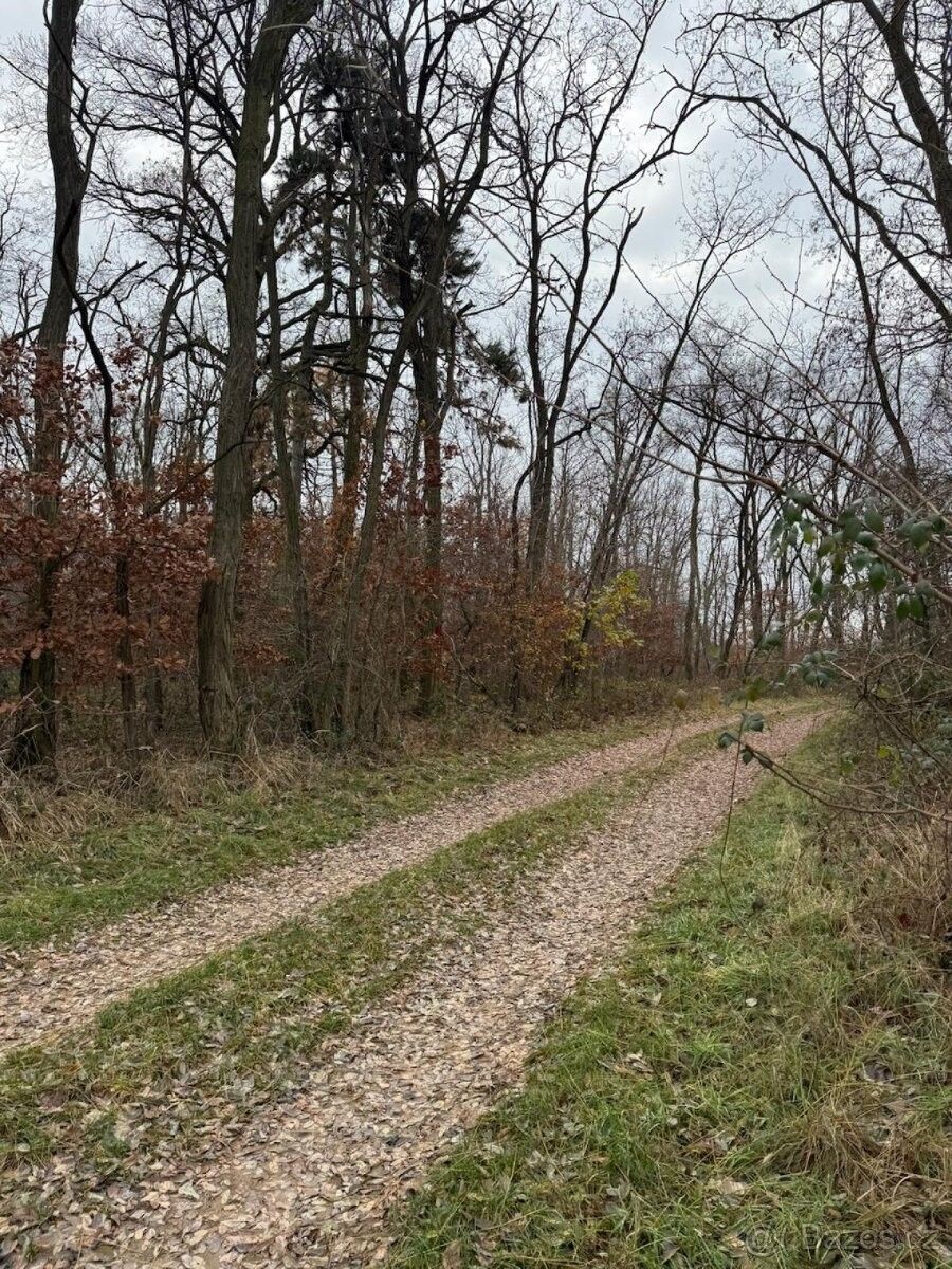 Prodej pozemek pro bydlení - Moravský Krumlov, 672 01