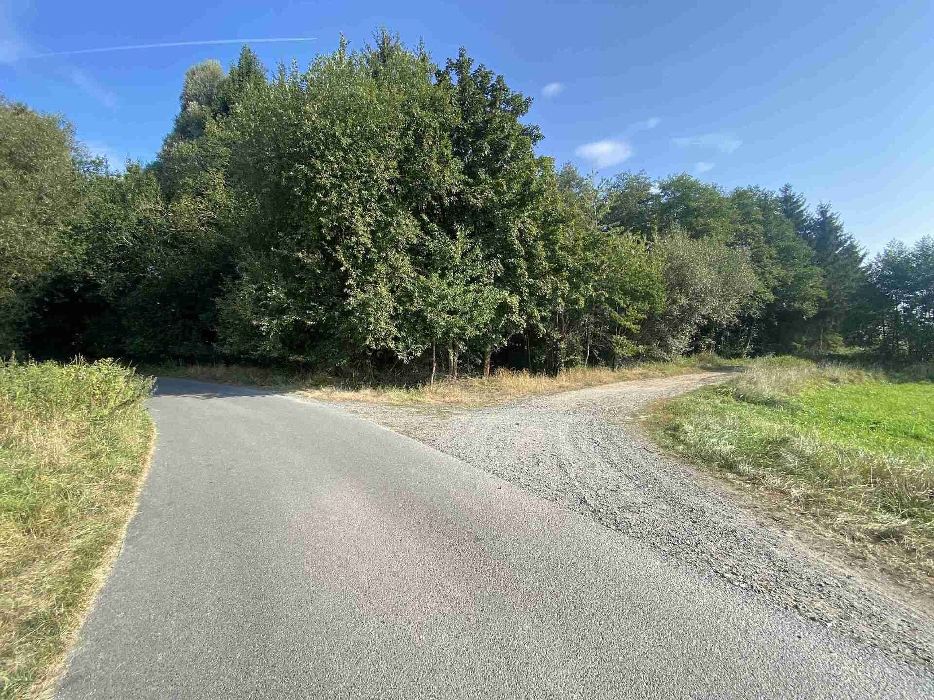Pozemek · 5 704 m² · Ošelín - 3