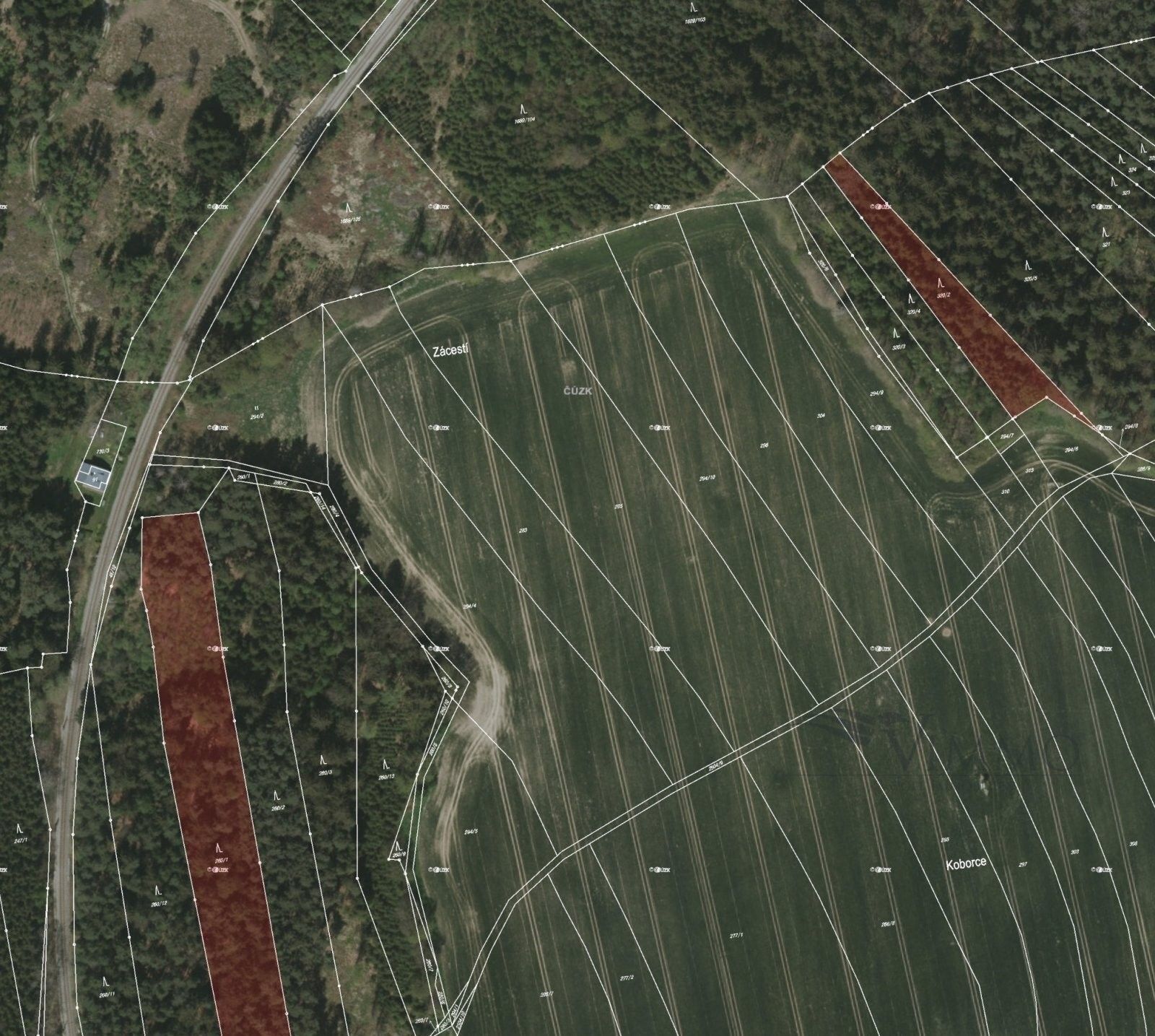 Prodej les - Trocnov, Borovany, 12 m²